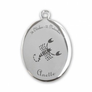 Edelstahlanhänger *Oval Skorpion*