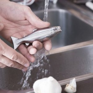 Edelstahlseife Fish Magic Soap