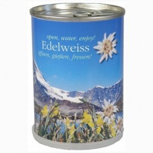 Edelweiß aus der Dose