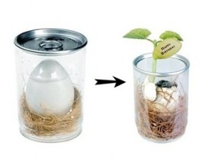 Ei mit Liebeserklärung