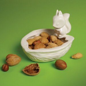 Eichhörnchen-Nussschale