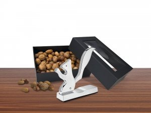 Eichhörnchen-Nüsse