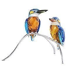 Eisvögel, Blue Turquoise