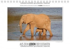 Aus dem Leben der Elefanten Kalender