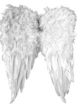 Engelsflügel aus Federn weiss 30x45cm