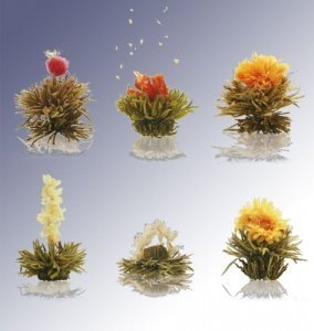 Erblüh-Teekugeln Nachbestellung 12er-Set