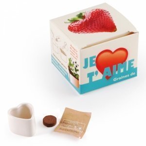 Erdbeere im Mini Herztopf