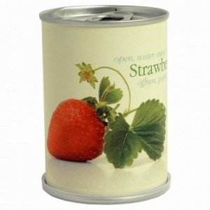 Erdbeeren aus der Dose