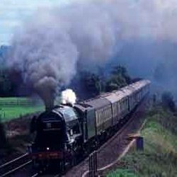 Erlebnis: Auf Mörderjagd