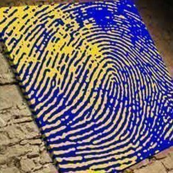 Erlebnis: Fotoshootings