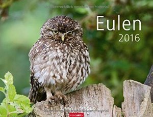 Eulen Kalender