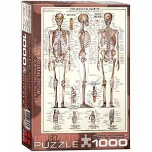 EuroGraphics Das Skelett - 1000 Teile Puzzle