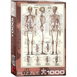 EuroGraphics Das Skelett Puzzle