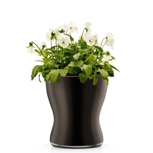 Eva Solo Blumentopf aus Glas selbstbewäs