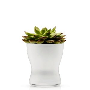 Eva Solo Blumentopf aus Glas selbstbewäs