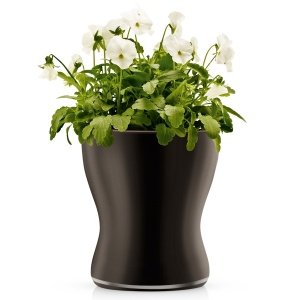 Eva Solo Blumentopf aus Glas selbstbewäs