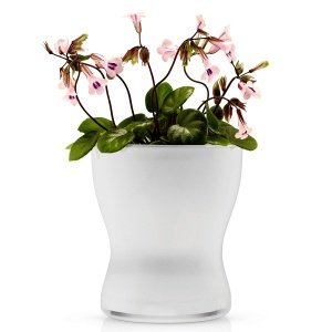 Eva Solo Blumentopf aus Glas selbstbewäs