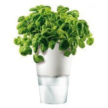 Eva Solo - Blumentopf, groß, weiß