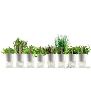 Eva Solo Kräutertopf selbstbewässernd ka