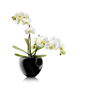 Eva Solo Orchideentopf selbstbewässernd 