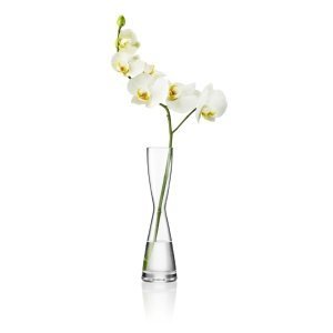 Eva Solo Vase SOLITAIRE klar 25.5cm