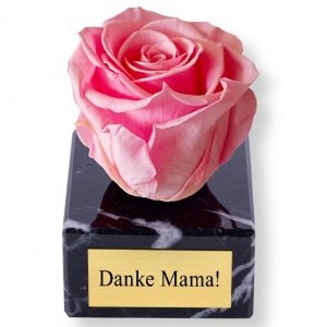 Ewige Dankbarkeit rosa