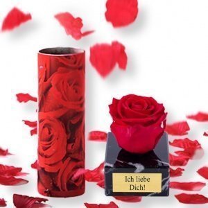 Ewige Liebe und Rosenfeuerwerk