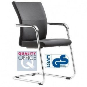 Extra 5 A Besprechungsstuhl Freischwinge