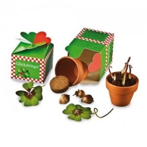 Extragifts Glück aus der Schachtel