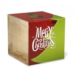 Extragifts ecocube Weihnachtsbaum fichte