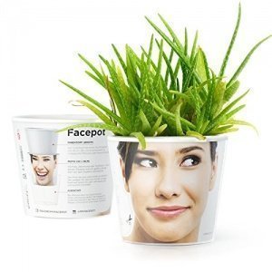 Facepot DIY Blumentopf