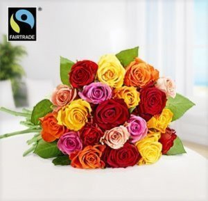 Fairtrade 20 bunte Rosen