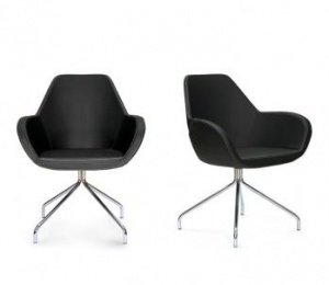 Fan Drehsessel von ProfiM