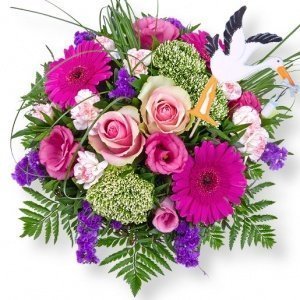 Fantasia und Einstecker Storch Junge