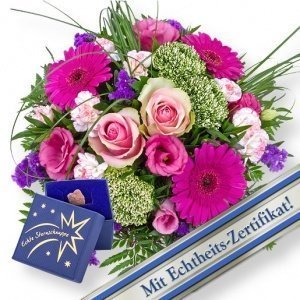 Fantasia und Meine eigene Sternschnuppe