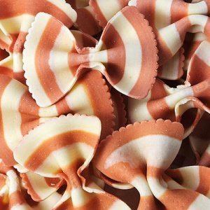 Farfalline Vicenza bunte Schmetterlingsn