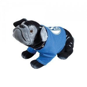 FC Schalke 04 Wackelboxer