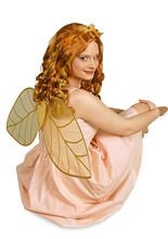 Feenflügel mit Haarschmuck gold 48x28cm