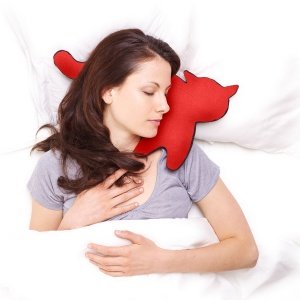 Feline - das Reisekissen