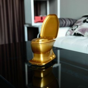 Ferngesteuerte Toilette