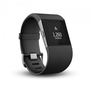 Fitbit Surge