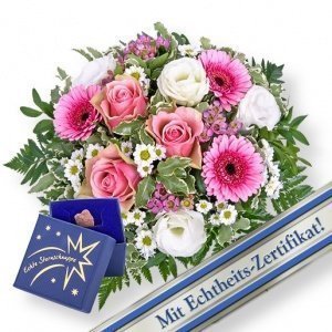 Flair und Meine eigene Sternschnuppe