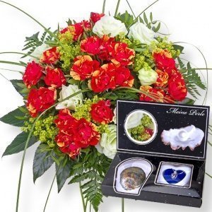 Flamenco und Meine Perle