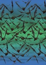 Fledermaus Wanddeko 1,20x12,20m