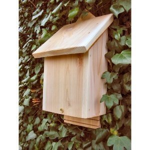 Fledermauskasten "Chavenage"