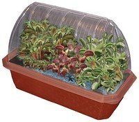 Fleischfressende Pflanzen