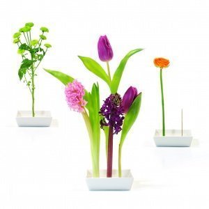 Florida - die Vase von Morgen