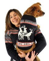 Flotter-Dreier Hundepullover