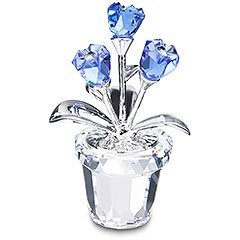 Flower Dream - Vergissmeinnicht