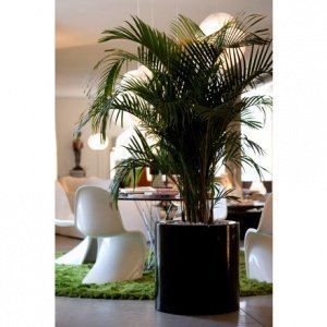 FOC Cilindro Pflanzentrog